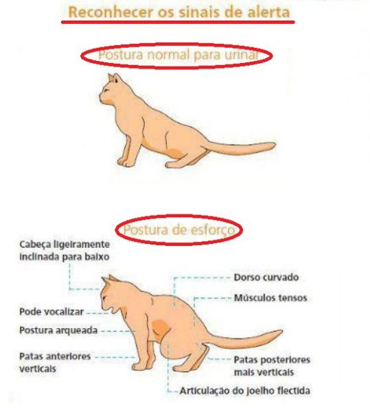 Reconheça Problemas