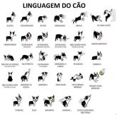 Linguagem dos cães