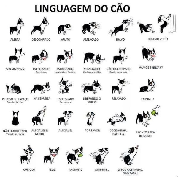 Linguagem dos cães