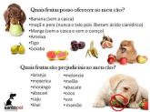 Frutas dar ou não para o seu Pet ?