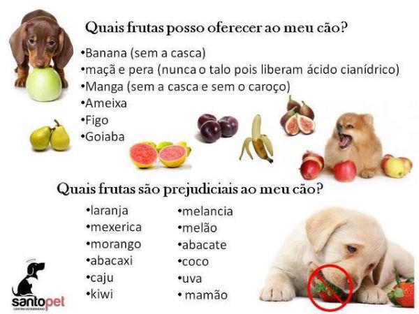 Frutas dar ou não para o seu Pet ?